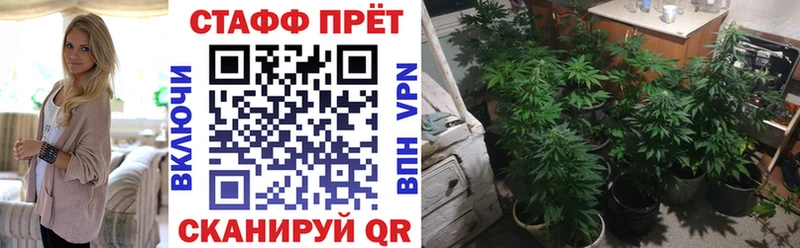 Купить закладку Сорочинск Альфа ПВП  Бошки Шишки  COCAIN  АМФЕТАМИН  ГАШИШ  Мефедрон 
