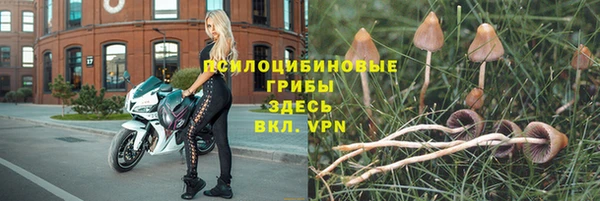 молекула духа Лиски