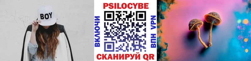 KRAKEN ТОР  Сорочинск  Псилоцибиновые грибы GOLDEN TEACHER 